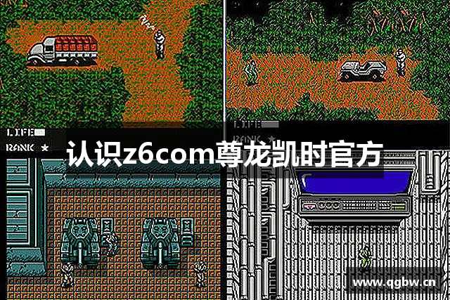 Z6·尊龙凯时「中国」官方网站